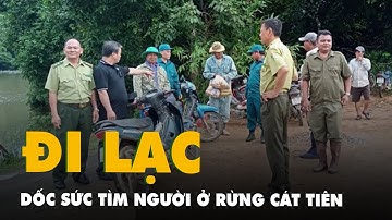 Một người nghi đi lạc trong rừng Cát Tiên: công an, kiểm lâm, quân sự đang dốc sức tìm kiếm