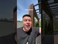HYPE и опасность селебрити-шилла: как не попасть в ловушку хомяков