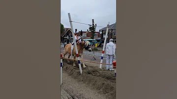 ?? Ringrijden Koudekerke ????  Nederland @TravelwithHugoF  #ringrijden #horses #koudekerke #netherlands