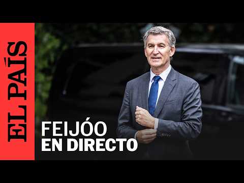 DIRECTO | Alberto Núñez Feijóo, preside la reunión de la Junta Directiva Nacional del PP | EL PAÍS