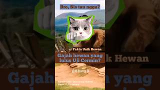Gajah hewan yang lulus Uji Cermin? #shorts #faktaunik #faktaunikhewan
