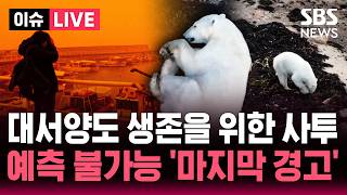 [🔴이슈] '잿빛 하늘, 핏빛 바다'… 지구가 보내는 마지막 '경고' - 더 시그널 기후 특집 | SBS 이슈라이브