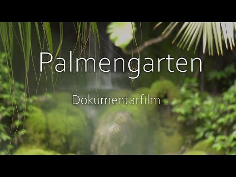 Video: Aktivitäten in Botanischen Gärten – Erfahren Sie mehr über Aktivitäten in einem Botanischen Garten