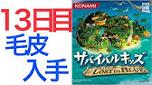 Ds サバイバルキッズ Lost In Blue Youtube