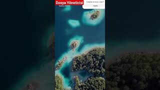 Dosya yöneticisi göster gizle yönet android tüm telefon tablet için #shorts #viral #trending Dosya yöneticisi göster gizle yönet android tüm telefon tablet için #shorts #viral #trending