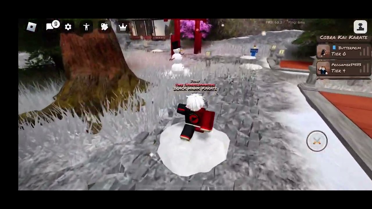 Where is the Hidden Secret in Karate Roblox?