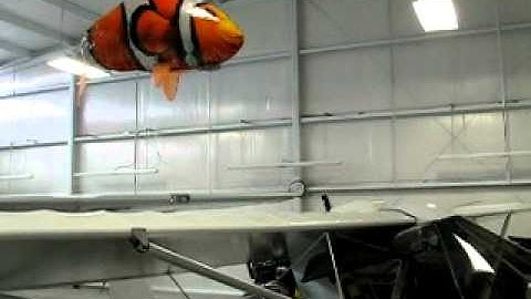 Flying Nemo blimp Airswimmers