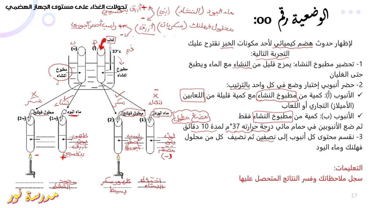 تمرين حول تحولات الغذاء في الجهاز الهضمي علوم طبيعية سنة 04 متوسط