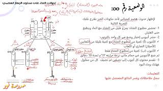 تمرين حول تحولات الغذاء في الجهاز الهضمي علوم طبيعية سنة 04 متوسط