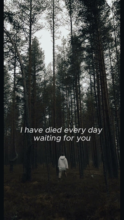 A THOUSAND YEARS by Christina Perri #lyrics | One Step Closer | Sad Vibes #music #shorts #trending