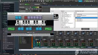 Bi̇lgi̇sayar İle Org Çalmak -Su Misali- Müthi̇şş Yetenekk 2020