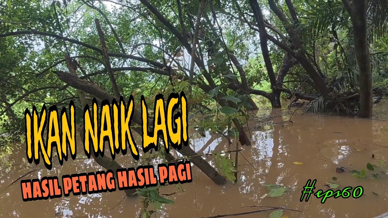 Tahan jaring ikan / rezeki air besar / melepas ikan pada jaring di waktu malam (