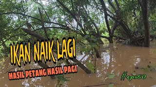 Tahan jaring ikan / rezeki air besar / melepas ikan pada jaring di waktu malam (#eps60)