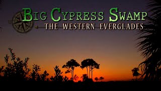 Big Cypress Swamp Western Everglades | FULL DOCUMENTARY
