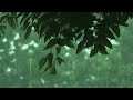 Relaxing Rain on Fresh Green Leaves 🌿 Natural Rain Sounds for Calm, Focus and Deep Sleep