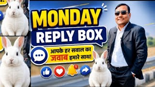 खरगोश को बाहर कैसे घुमाए / Khargosh Ki Sahi Dekhbhal kaise Karna Chahiye? Monday Ripley Box In Hindi