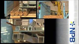 NPB Info.flv