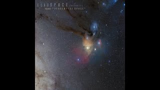 Echospace Sequential Space Mix [common current carrier] Net Worth