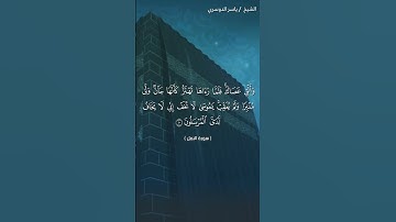 سورة النمل #القرآن_الكريم #المصحف #القران #ياسر_الدوسري