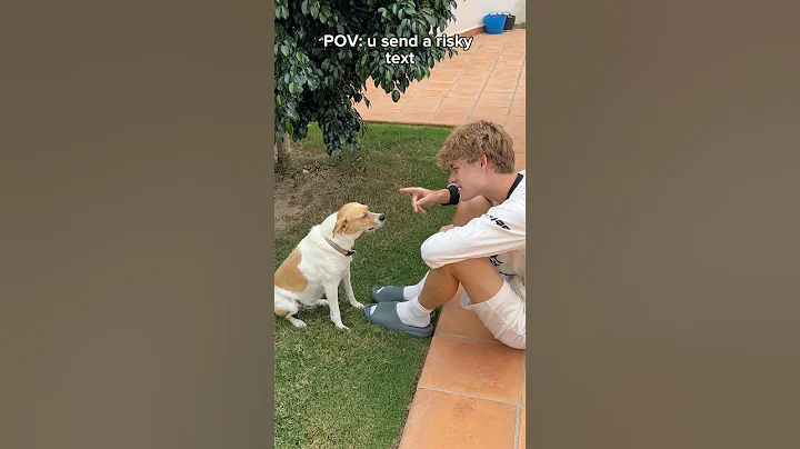 POV: U send a risky text 😭😂 #meme #text #crush
