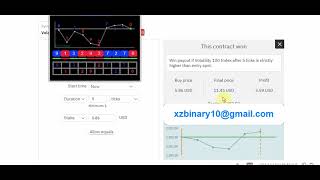 Simple analysis of binary derivative rise fall strategy Digit Analyzer