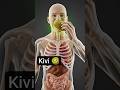 Eat Daily Kivi Benifits digestive | Changes inside your body
