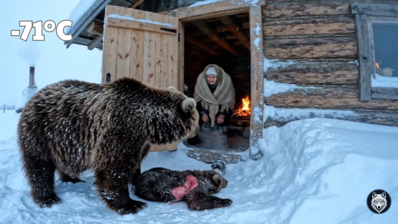 In –71°C Siberia, a Wild Bear Begged an Elderly Woman to Save Her Cub
