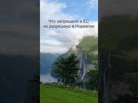 Что запрещено во всех странах ЕС но разрешено в Норвегии и Швеции? #shorts #норвегия