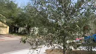 Investment Property 7788 Playschool Lane Jacksonville Property Turn Final Walk
