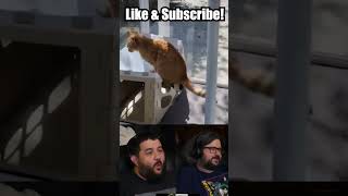 Memes V1 - Renegades React