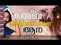 കഅ'ബ പൊളിക്കാൻ വരുന്ന ആന | Shereef Right