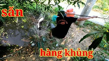 Câu cá lóc bằng vịt, điểm huyền thoại vào mùa tết vẫn lên hàng khủng _hcmt