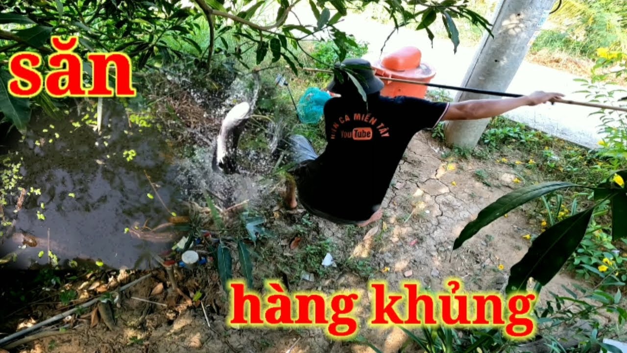 Câu cá lóc bằng vịt, điểm huyền thoại vào mùa tết vẫn lên hàng khủng _hcmt