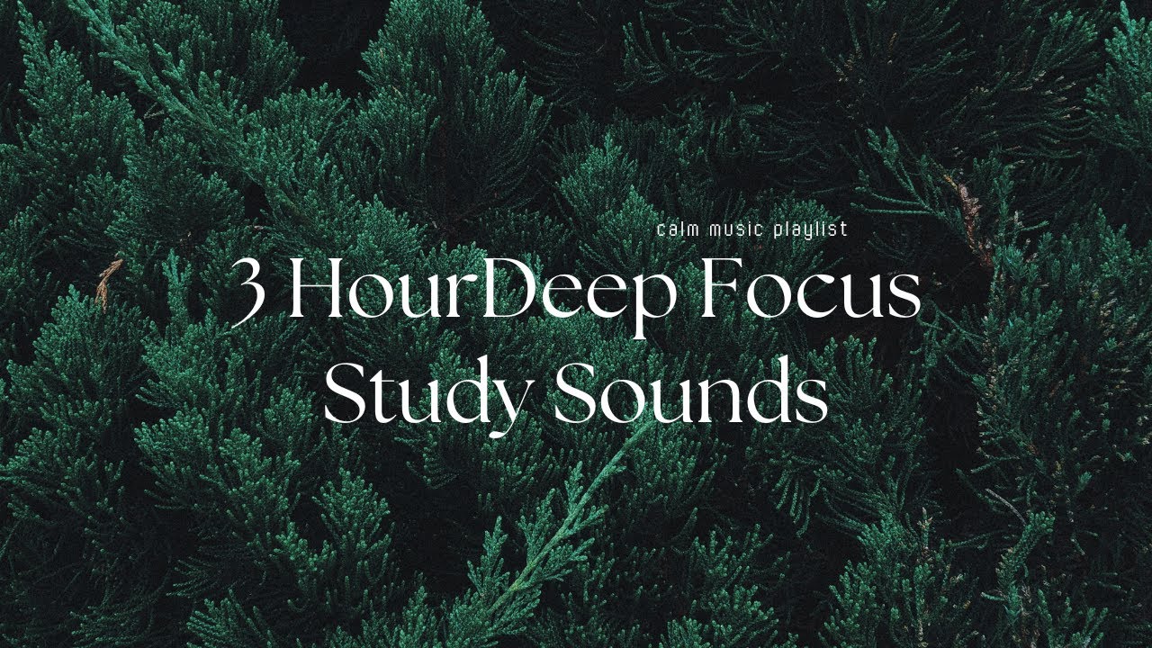3 Hour Relaxing Deep Focus Study #studymusic #relaxingstudymusic