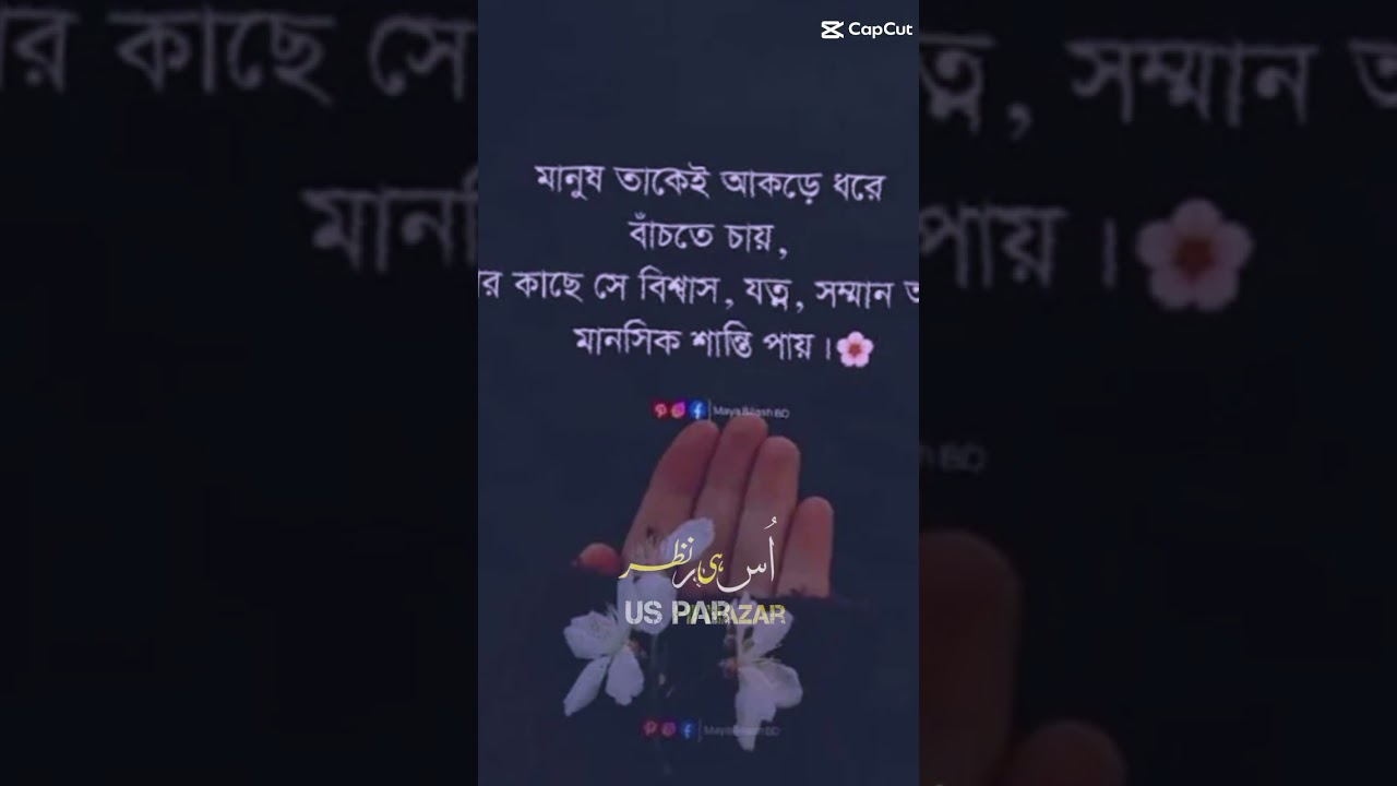 মানুষ।