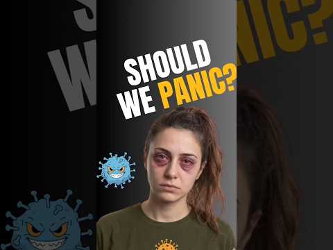 Could a Hantavirus Outbreak Be on the Horizon? | Metaverse Planet