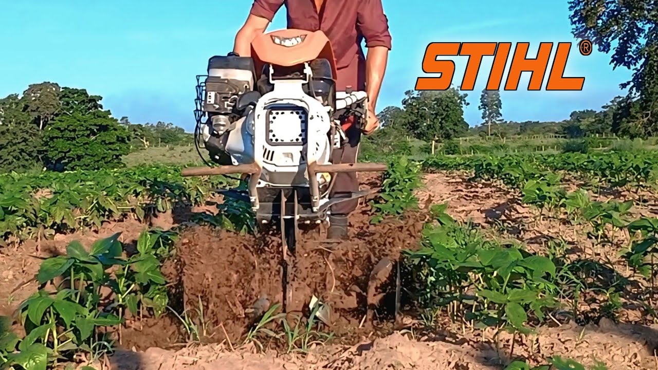 TRATORITO STIHL 710 Limpando FEIJÃO 🫛