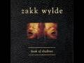 Zakk Wylde - Throwin' It All Away
