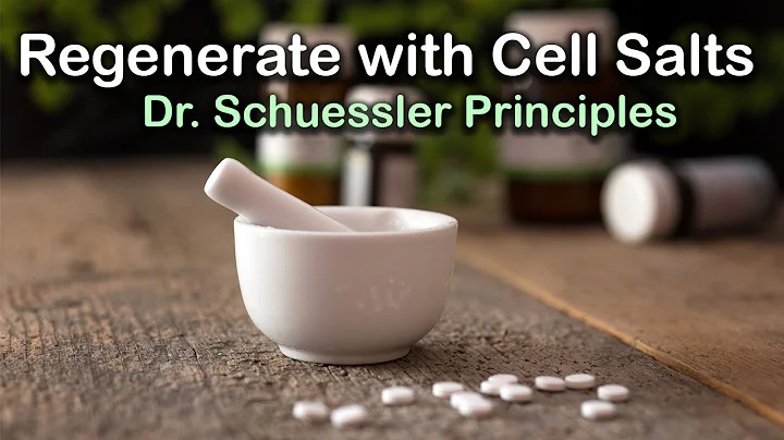 Dr. Schuessler's  Principles (Tissue Salts)