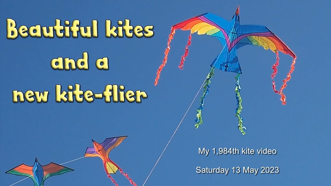 Beautiful kites and a new kiteflier YouTube