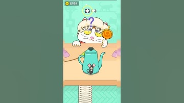 Hide and seek : cat escape game #shorts #viral #trending#trendingshorts