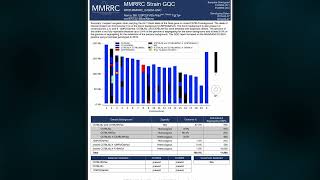 MMRRC Strain GQC Video 3 - Genetic Replicability