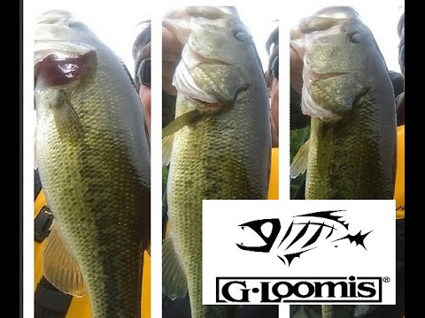 Hot Day BIG Fish New Rod G-Loomis GLX