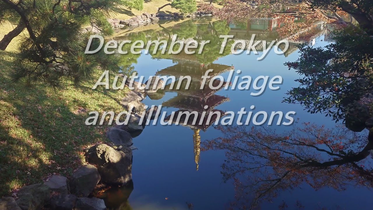 December Tokyo, Autumn foliage and illuminations