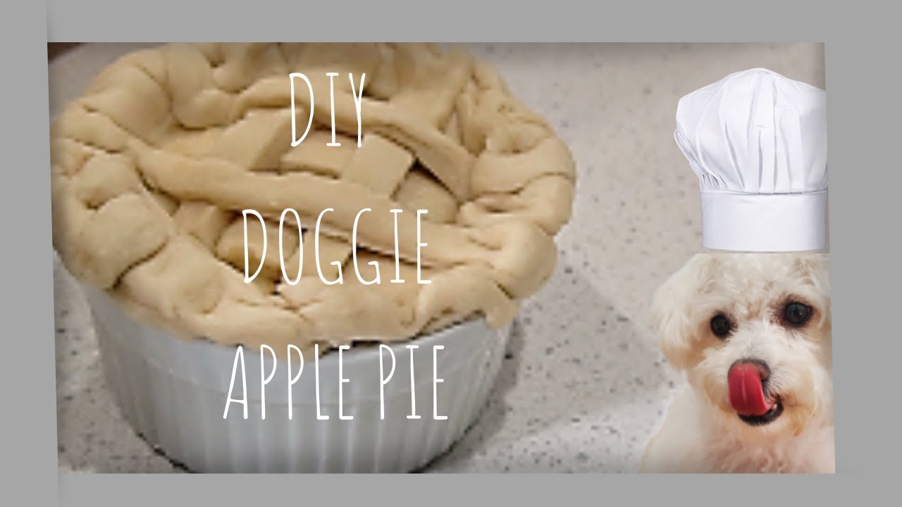 DIY Dog Apple-Pie | Happy Thanksgiving