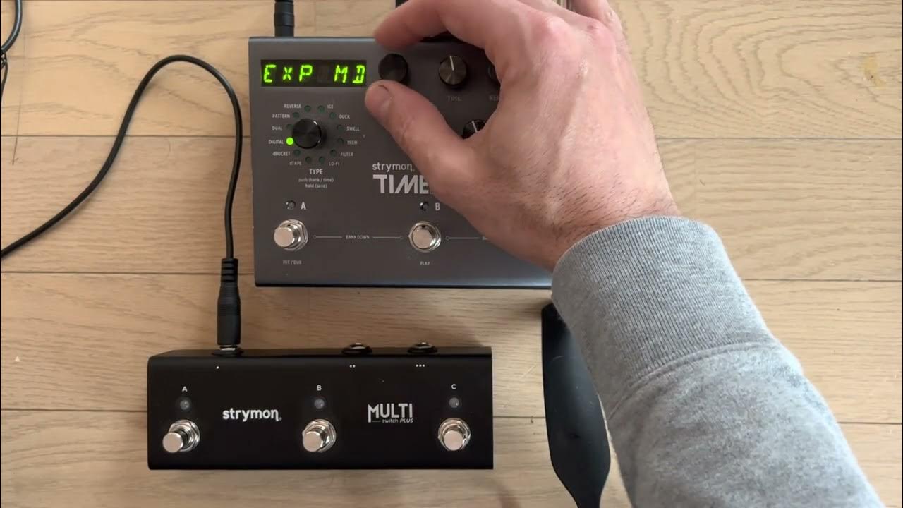 How to Set Up Strymon MULTISWITCH PLUS for TIMELINE YouTube