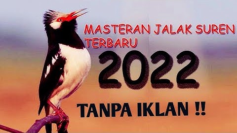 TANPA IKLAN || MASTERAN JALAK SUREN FULL ISIAN || COCOK BUAT YANG MACET BUNYI #jalaksuren #masteran