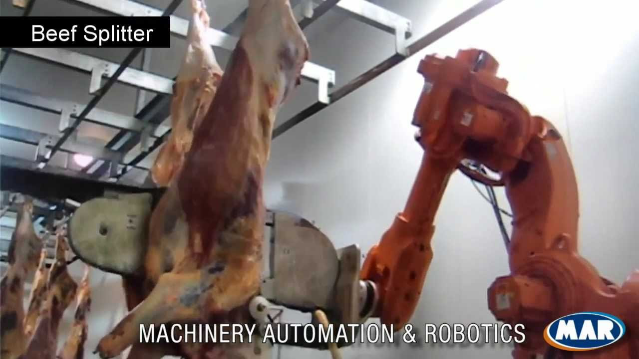 Red Meat Processing Technologies