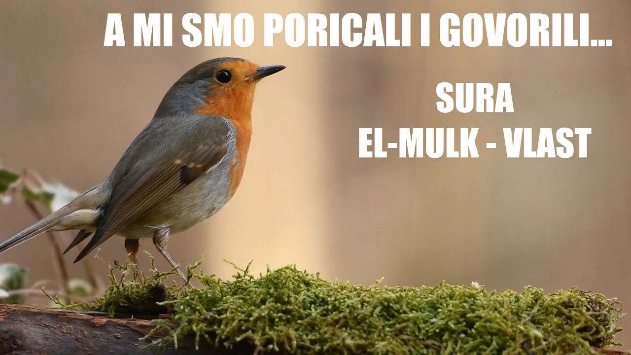 Sura 67. El-Mulk - Vlast (Bosanski)┇ᴴᴰ┇Mishary Rashid Alafasy