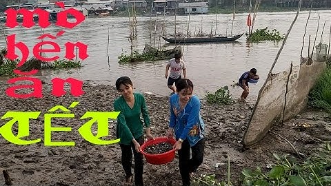 Mò Hến ăn TẾT ơi Nó Ngon Làm Sao/Miền Tây Quê Em-AG Tập 209